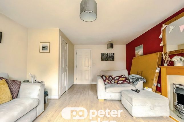 384, CARDIFF photo 3