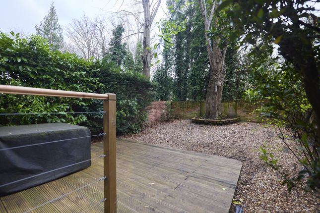 Flat Basement, 130, Sinclair Road, London photo 3