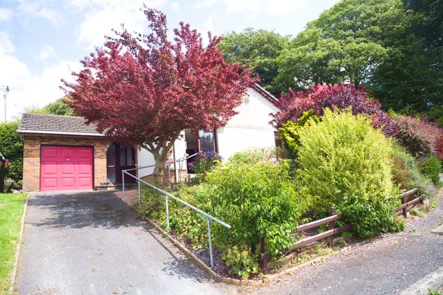 Thumbnail Detached bungalow for sale in Pentrehedyn, Newcastle Emlyn