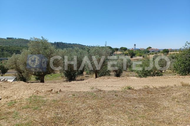 Thumbnail Land for sale in Carril, Serra E Junceira, Tomar