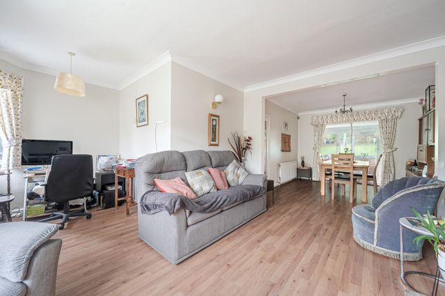 193, Mackie Avenue, Brighton photo 3