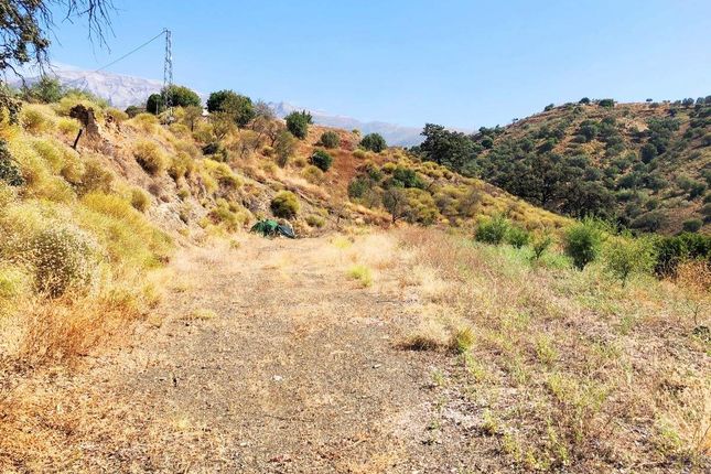 Thumbnail Land for sale in Sedella, Andalusia, Spain