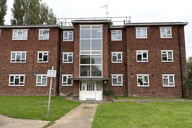 General Front Aspect