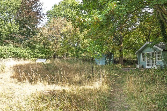Summer House
