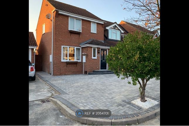 Thumbnail Semi-detached house to rent in Knox Court, Wickford