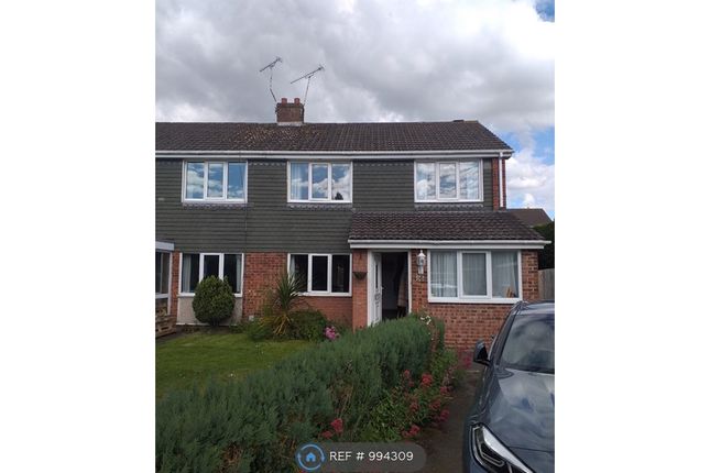 Thumbnail Semi-detached house to rent in Cowhey Close, Chester