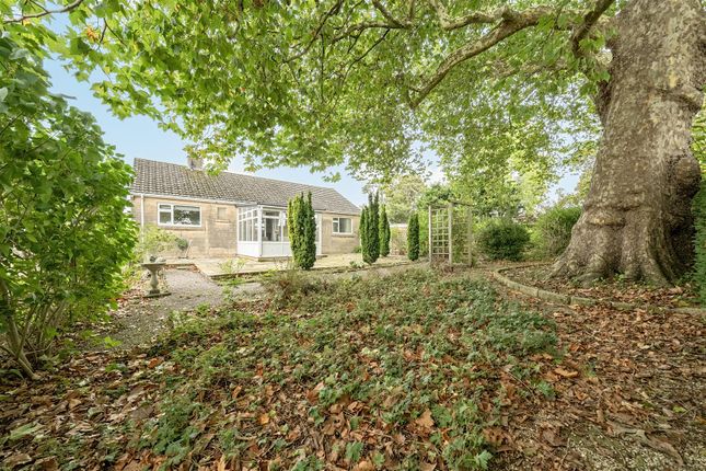 6, Plane Tree Close, Melksham photo 3