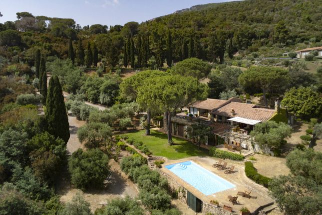 Properties for sale in Porto Ercole, Grosseto, Tuscany, Italy - Porto