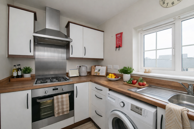 19 Old Park Avenue, Exeter photo 3