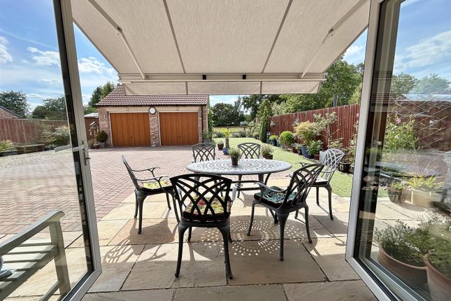 View From Patio Doors