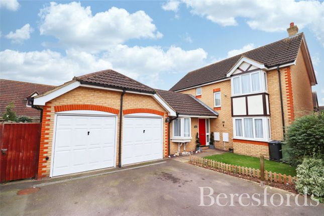 Thumbnail Detached house for sale in Tern Close, Mayland