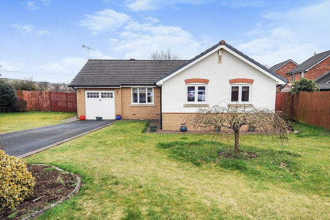 Thumbnail Bungalow for sale in Willow Grove, Heathhall, Dumfries, Dumfries And Galloway