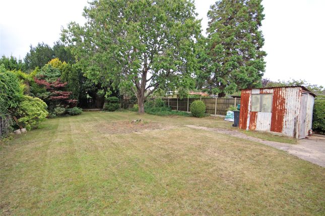 19, Avenue Road, Christchurch photo 2
