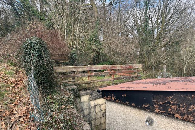 12, Coed-Yr-Haf, Tredomen photo 2