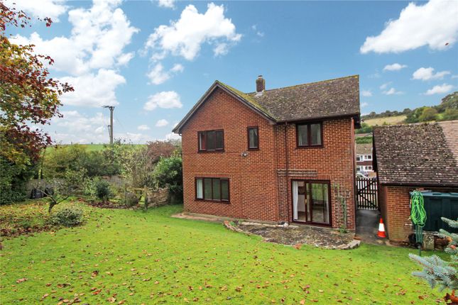 Thumbnail Detached house to rent in Downfield, Winterborne Stickland, Blandford, Dorset