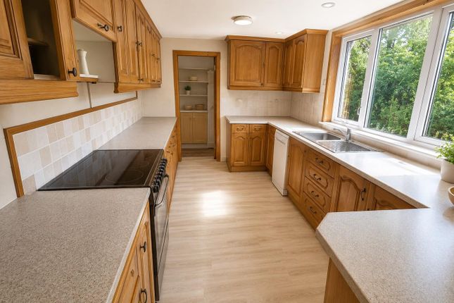 Chub Tor Cottage, Yelverton photo 3