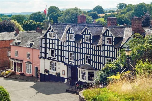 Thumbnail Leisure/hospitality for sale in Substantial Hotel With Swimming Pool, Dragon Hotel, Market Square, Montgomery, Powys