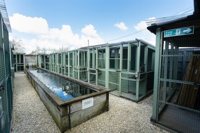 Thumbnail Commercial property for sale in Kennels, Cattery &amp; Equestrian Businesses GL51, Gloucestershire