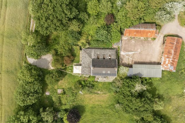 Welland Down Farm, Crediton photo 3