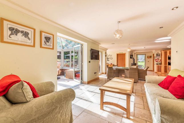 Detached house for sale in West Meon, Petersfield, Hampshire