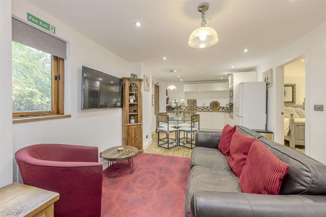 Living Area With Kitchen