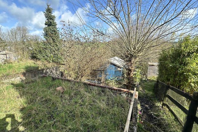 10, Hillpark  Cottages, Launceston photo 3