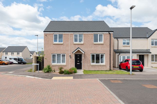 Thumbnail Detached house for sale in Finlay Terrace, Arbroath