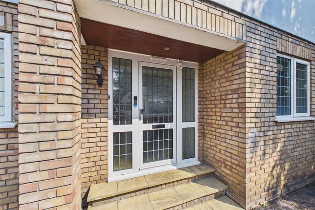 Tumbleweed House, 174A, Rodway Road, Bristol photo 4