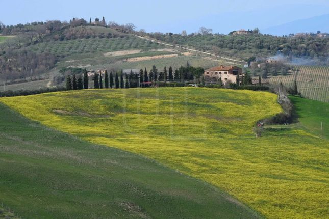 Thumbnail Villa for sale in Montepulciano, 53045, Italy