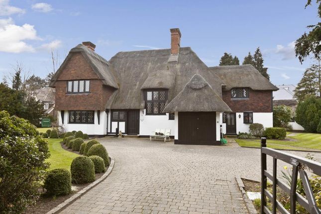Thatches_-136-Silver