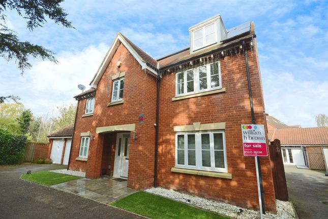 Thumbnail Detached house for sale in Albemarle Link, Beaulieu Park, Chelmsford