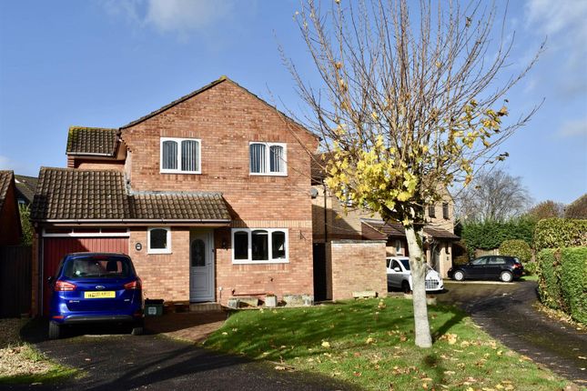 Thumbnail Detached house for sale in Bilberry Grove, Taunton