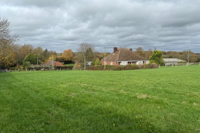 Rose Farm Bungalow, Hurdcott Lane, Salisbury photo 3