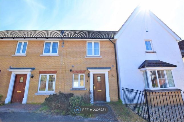 Thumbnail Terraced house to rent in Juniper Road, Red Lodge, Bury St. Edmunds