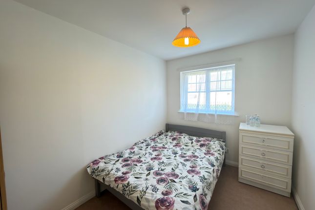 20, Taunton photo 5