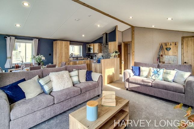 Hedley Wood Holiday Park, Bude photo 4