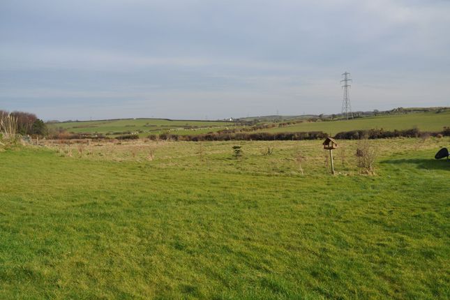 Photograph 25
