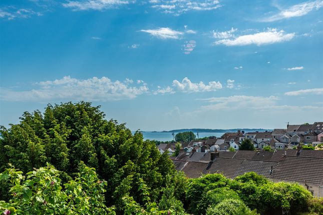 Eaton Crescent, Swansea photo 4