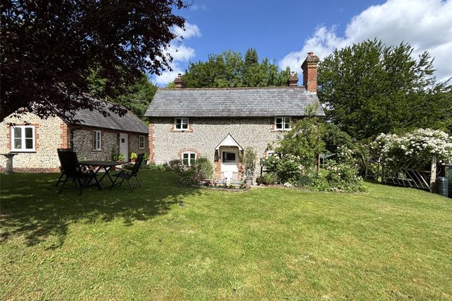 The Property