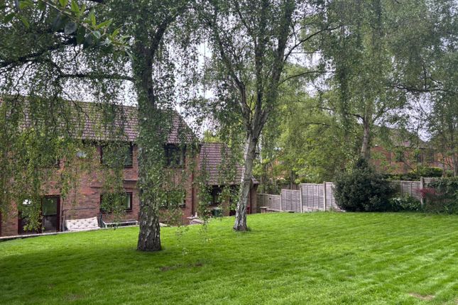 Rear Garden,