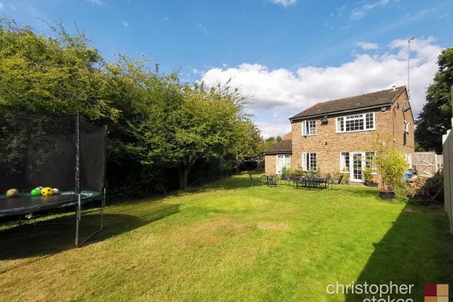 Detached house to rent in Mayflower Close, Nazeing, Waltham Abbey, Essex
