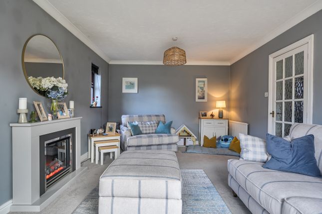 14, Spicer Way, Chard photo 3