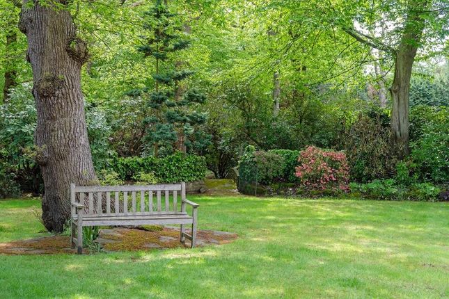 Gaywoods, 29, Winnington Road, London photo 4