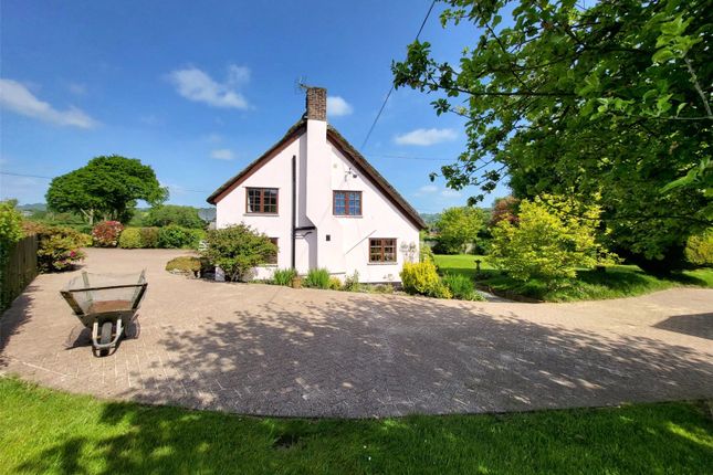 Detached house for sale in Colyton, Devon