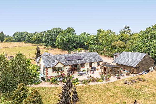 Tower View Farm, Offwell, Honiton photo 2