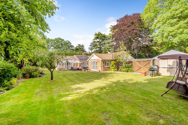 Bungalow for sale in Pyrford Heath, Pyrford, Woking