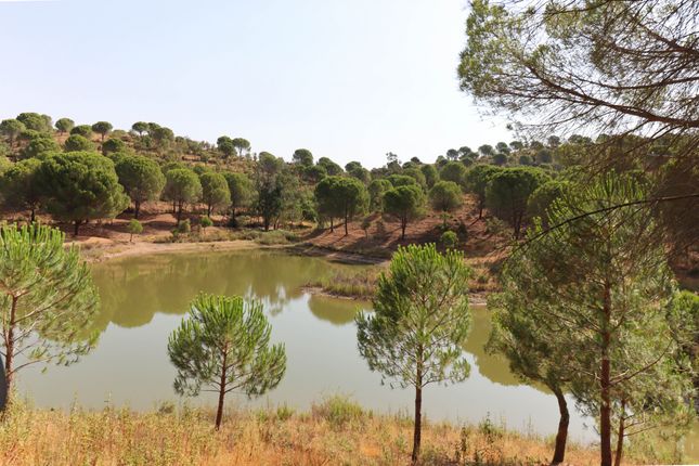 Thumbnail Land for sale in Silves, Faro, Portugal