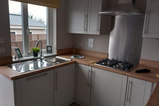Tamar Residential Park, Cox Park, Gunnislake photo 3