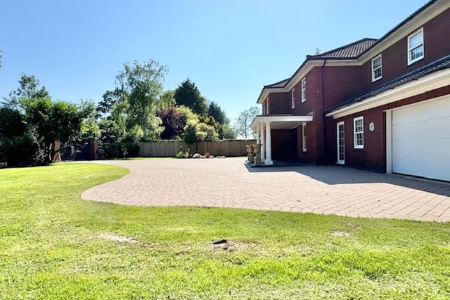 Front Garden And Parking