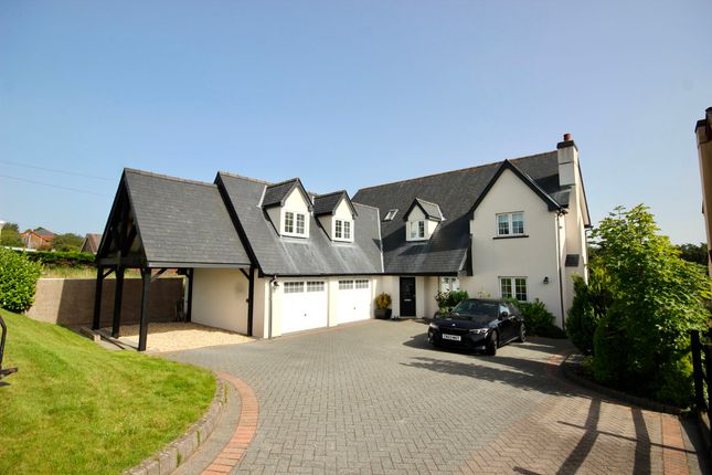 Thumbnail Detached house for sale in Merthyr Road, Princetown, Tredegar